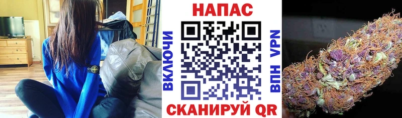 Марихуана марихуана  MEGA онион  Дмитриев 